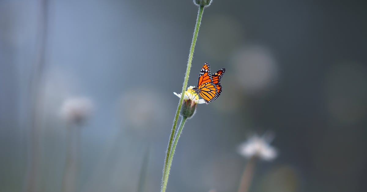 découvrez comment la transformation écologique peut révolutionner notre société. explorez les initiatives, les innovations et les stratégies pour un avenir durable, en harmonie avec notre environnement. engagez-vous pour un changement positif dès aujourd'hui.