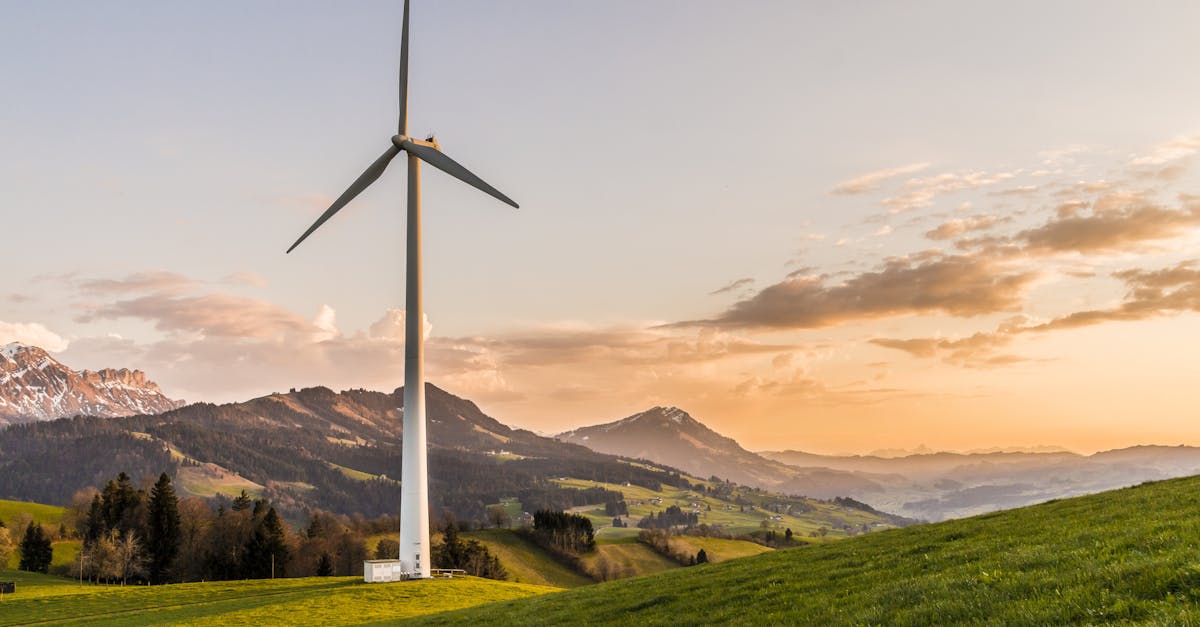 découvrez l'importance de la durabilité dans notre société moderne. explorez des pratiques et des stratégies pour un avenir plus écologique et responsable, tout en préservant nos ressources pour les générations futures.