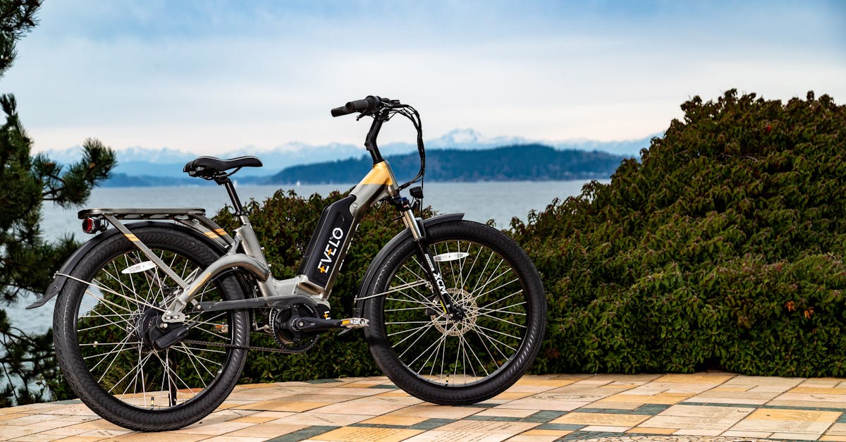 découvrez des solutions de mobilité durable qui favorisent un transport respectueux de l'environnement. explorez les innovations et pratiques écoresponsables pour un avenir plus vert.