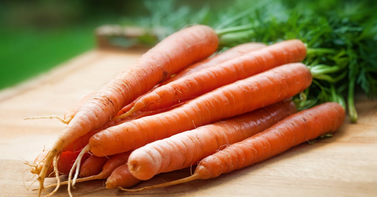 découvrez les pratiques de sourcing durable qui préservent l'environnement tout en garantissant des produits de haute qualité. engagez-vous dans une consommation responsable et apprenez comment choisir des sources éthiques pour vos achats.