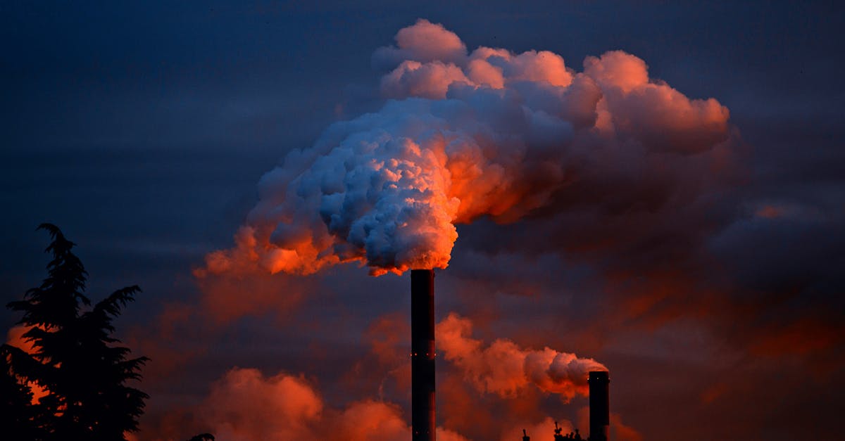 découvrez les enjeux de la pollution, ses causes et ses effets sur l'environnement et la santé. informez-vous sur les actions pour lutter contre ce fléau et promouvoir un avenir plus durable.