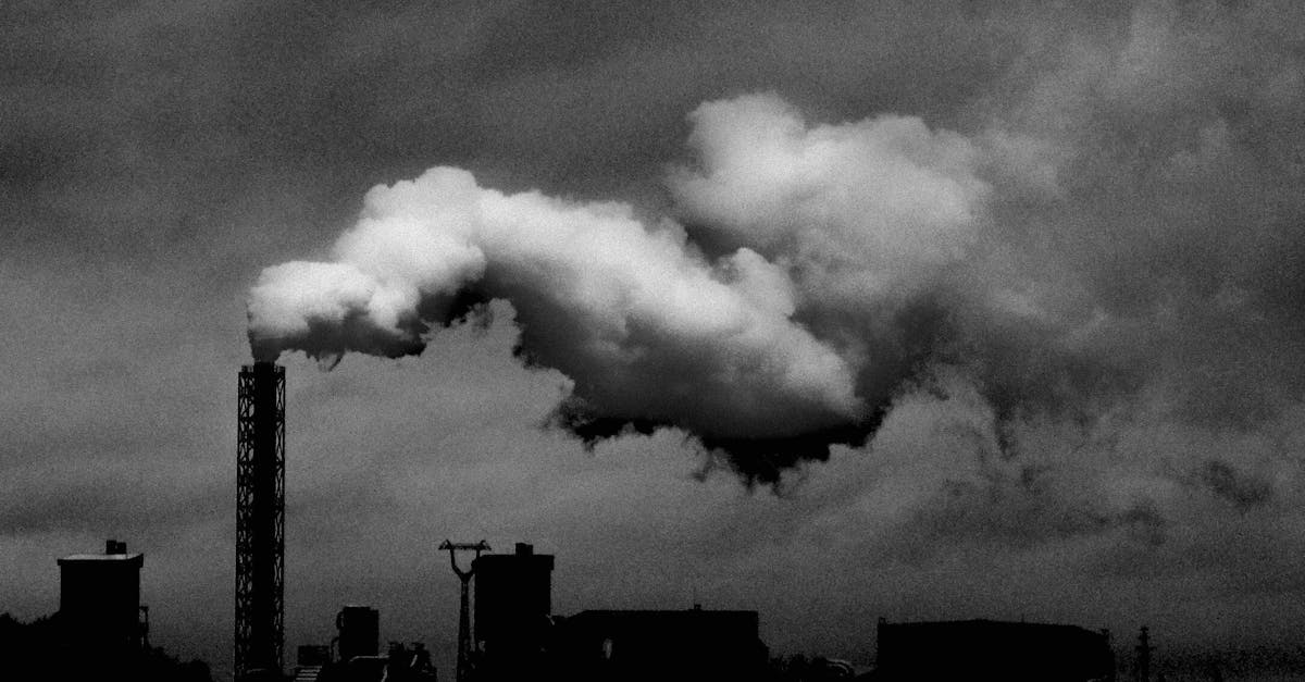 découvrez l'impact de votre empreinte carbone sur l'environnement et apprenez des moyens efficaces pour la réduire. adoptez des pratiques durables pour un avenir plus vert.