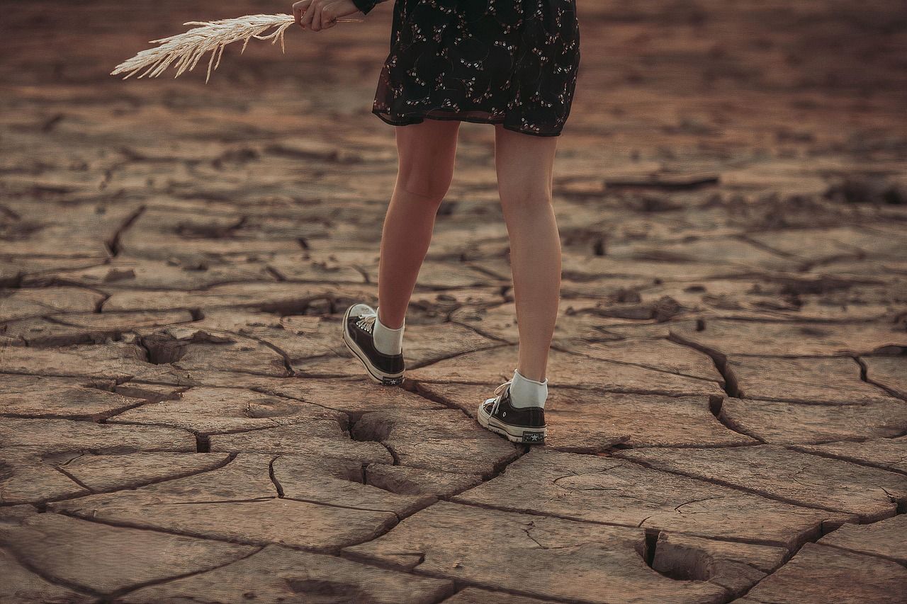 découvrez comment le changement climatique impacte notre planète, ses causes principales, ses conséquences sur l’environnement et les solutions pour réduire notre empreinte carbone.