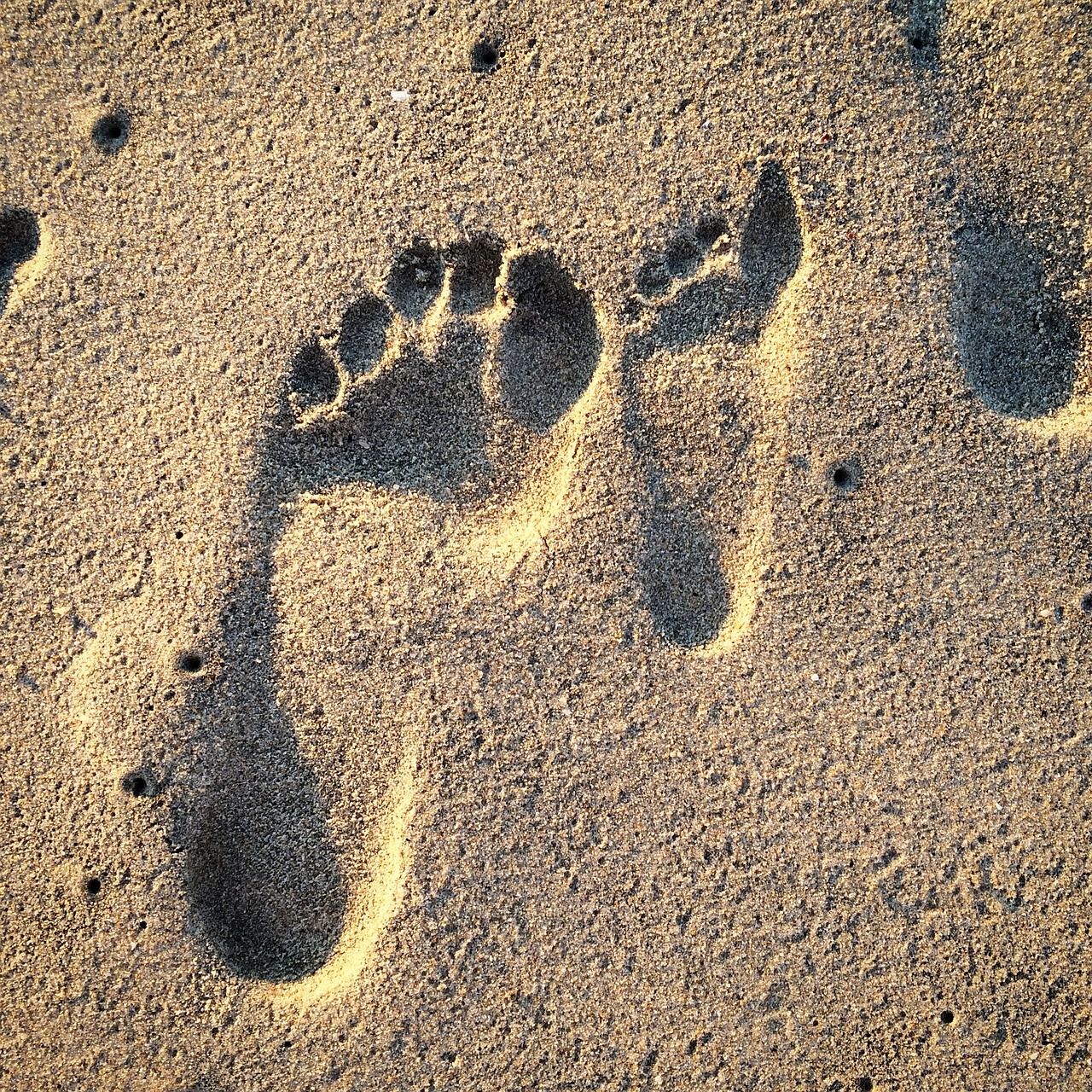 découvrez l'empreinte carbone, un indicateur essentiel pour évaluer l'impact environnemental de nos actions. apprenez comment réduire votre empreinte et contribuer à la préservation de la planète.