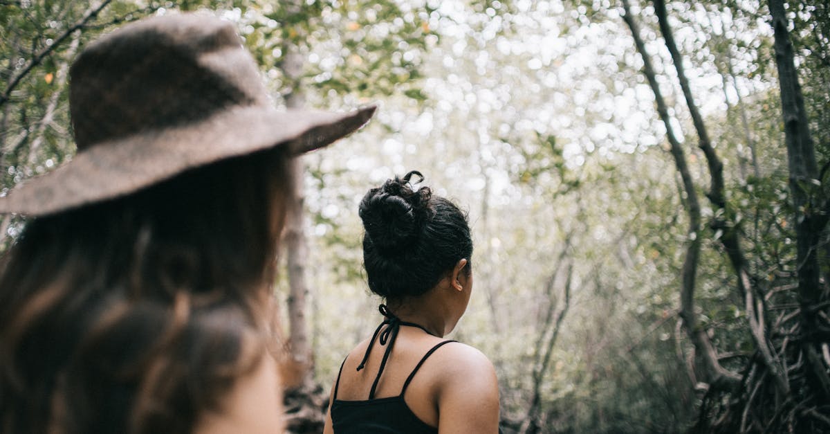 découvrez l'importance des écosystèmes, leur diversité, et comment ils interagissent pour maintenir l'équilibre de notre planète. apprenez comment préserver ces systèmes vitaux pour la biodiversité et le bien-être de la terre.