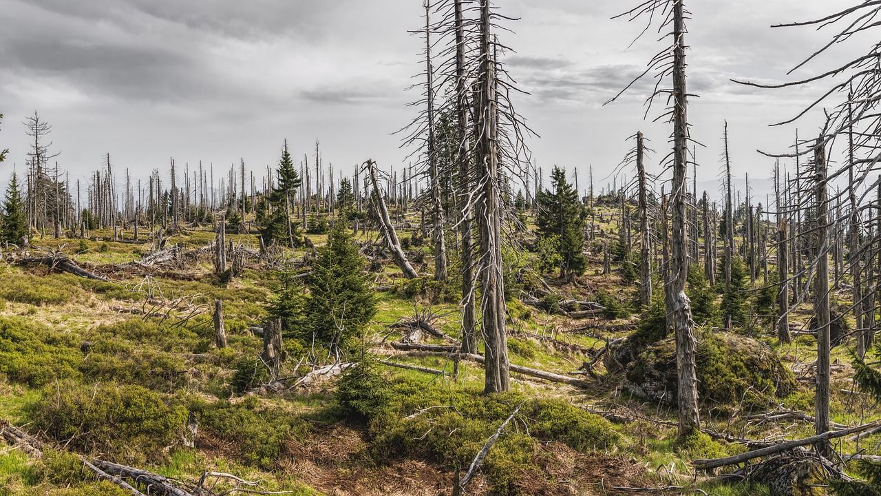 découvrez l'impact environnemental de la fast fashion et comment cette industrie influence la pollution, la consommation des ressources naturelles et le changement climatique.