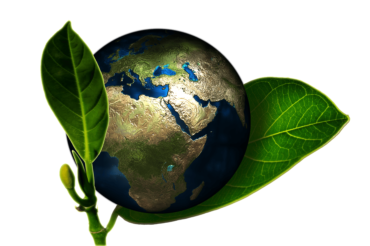 découvrez les enjeux cruciaux de la protection de l'environnement et comment vous pouvez contribuer à la préservation de notre planète. explorez des solutions durables et des initiatives écologiques pour un avenir meilleur.