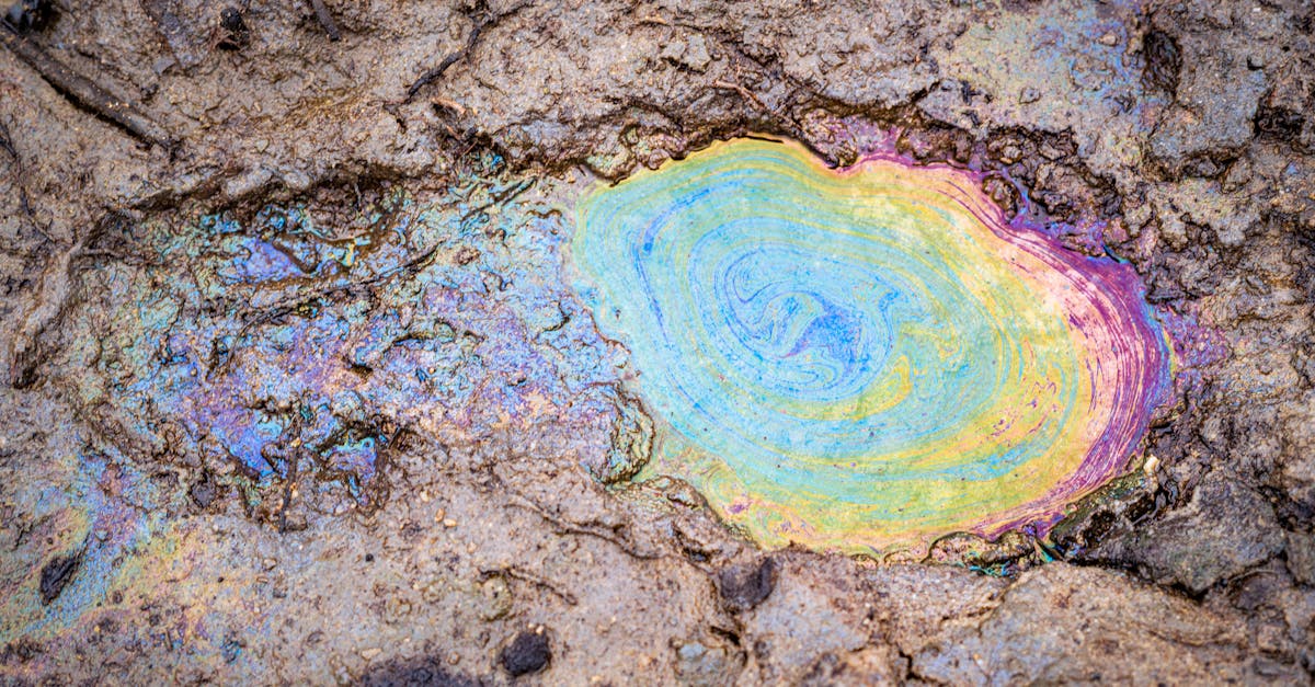 découvrez l'importance des ressources naturelles dans notre écosystème, leur impact sur l'économie et les enjeux de leur gestion durable pour les générations futures.