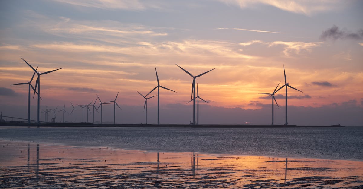 découvrez comment adopter un mode de vie durable grâce à des pratiques éco-responsables, des conseils pour réduire votre empreinte carbone et des initiatives pour préserver notre planète.
