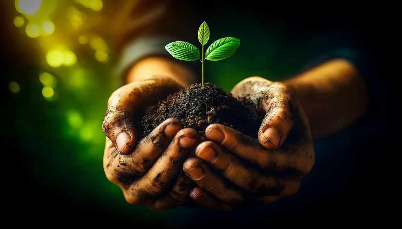 découvrez comment adopter des pratiques durables au quotidien pour préserver l'environnement, améliorer votre bien-être et contribuer à un avenir plus responsable grâce à des conseils et solutions autour de la sustainability.