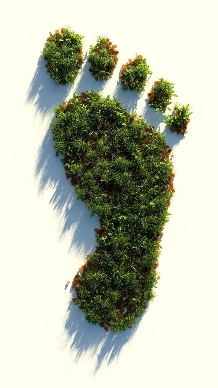 découvrez ce qu'est l'empreinte écologique, son impact sur l'environnement, et comment réduire votre consommation pour préserver la planète.