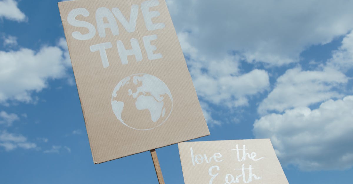 découvrez l'importance de la sensibilisation écologique et comment elle peut influencer nos comportements pour protéger notre planète. informez-vous sur les gestes simples à adopter pour un avenir durable.
