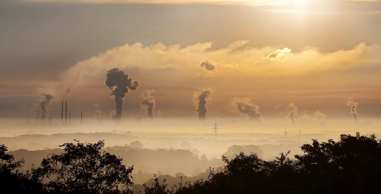 découvrez ce qu'est une évaluation environnementale, son importance et ses étapes clés pour mesurer l'impact des projets sur l'environnement et favoriser un développement durable.