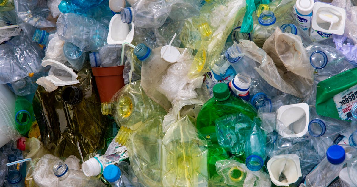 découvrez des stratégies efficaces de réduction des déchets pour minimiser votre impact environnemental. apprenez à adopter des pratiques durables et à promouvoir le recyclage, la réutilisation et la réduction dans votre quotidien.