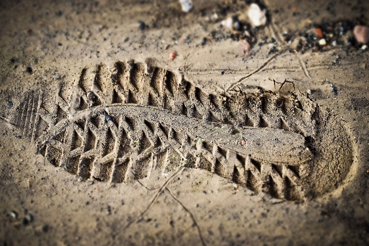 découvrez tout sur l'empreinte carbone : définition, comment la mesurer, son impact sur l'environnement et des astuces pour la réduire. informez-vous et contribuez à un avenir durable.