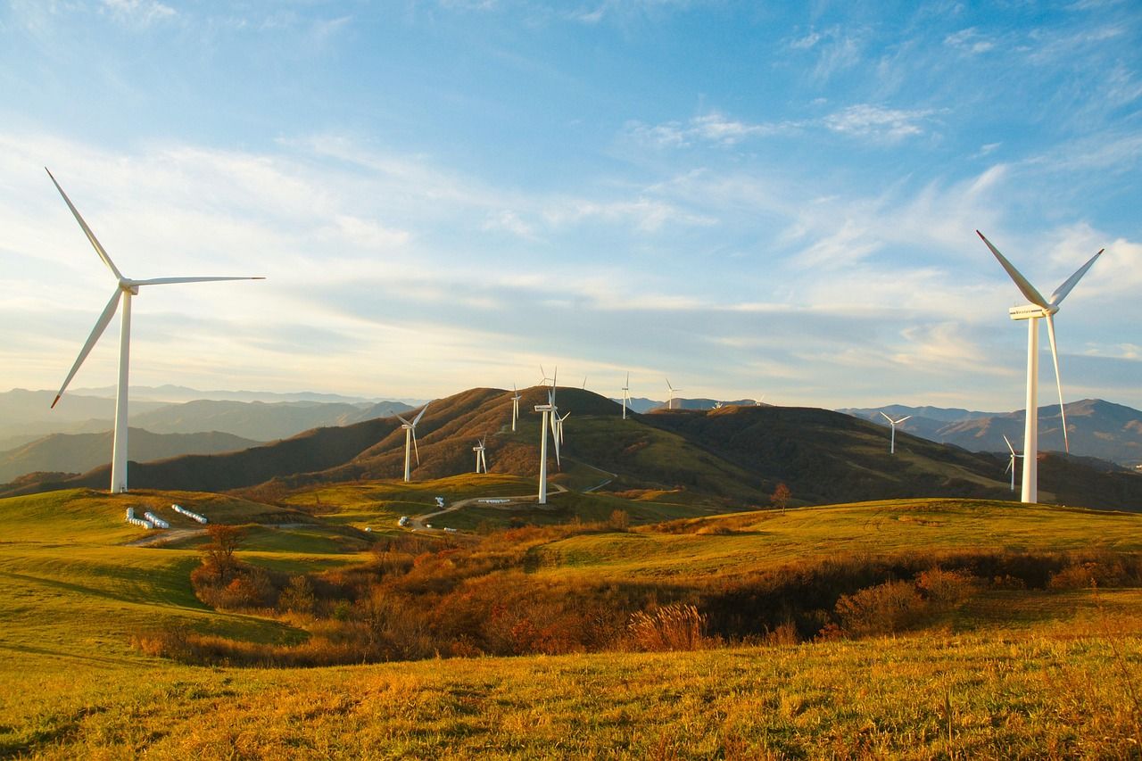 découvrez les pratiques durables dans l'édition pour minimiser l'impact environnemental tout en promouvant la qualité et l'innovation.