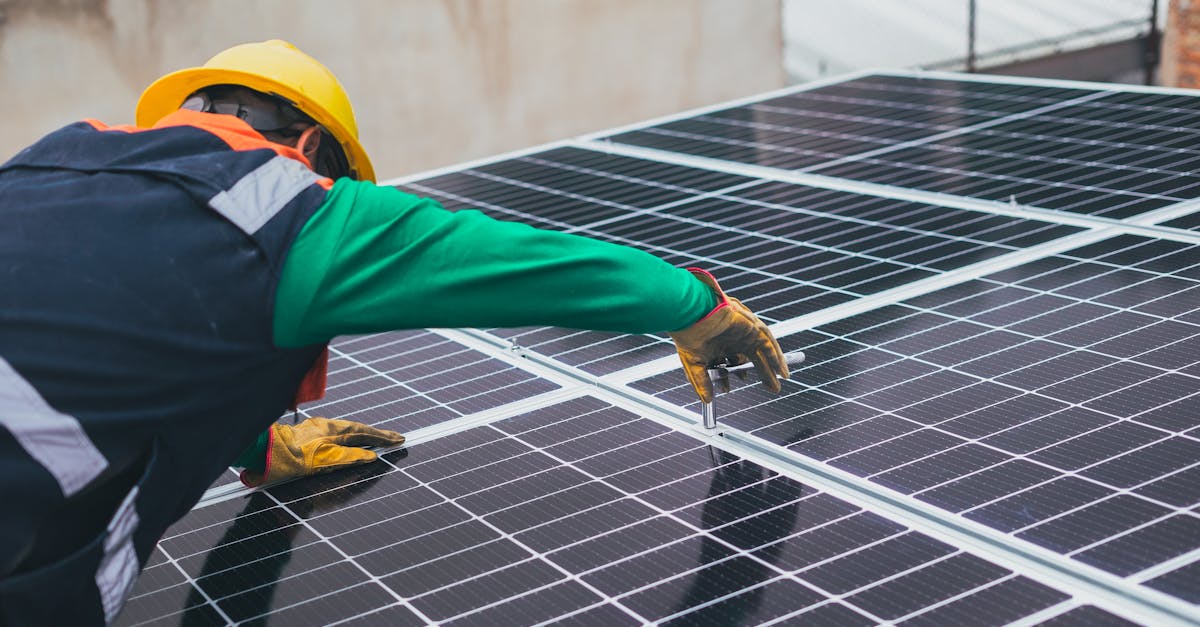 découvrez comment chaque individu peut contribuer à l'action climatique. explorez des solutions innovantes, des conseils pratiques et des initiatives inspirantes pour lutter contre le changement climatique et préserver notre planète pour les générations futures.