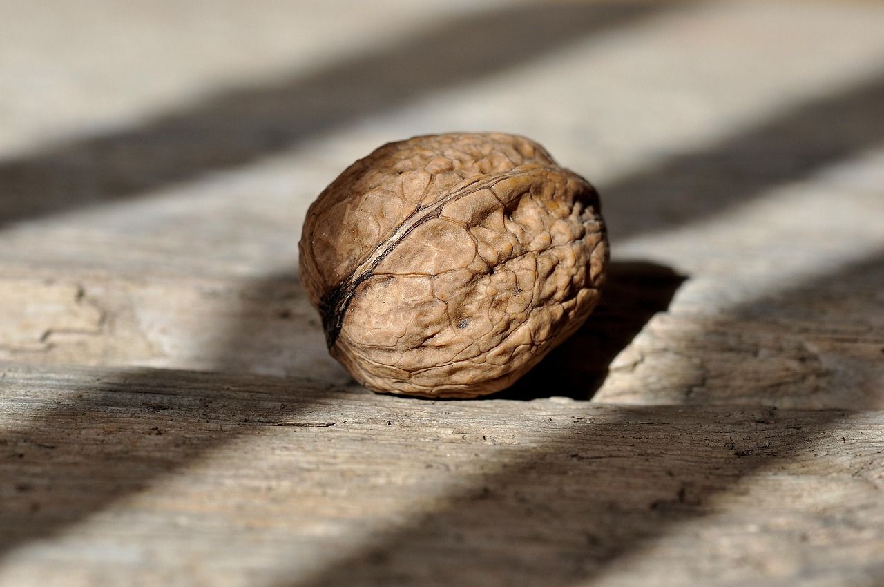 découvrez nos produits locaux de saison, frais et savoureux, directement issus des producteurs régionaux pour une alimentation saine et responsable.