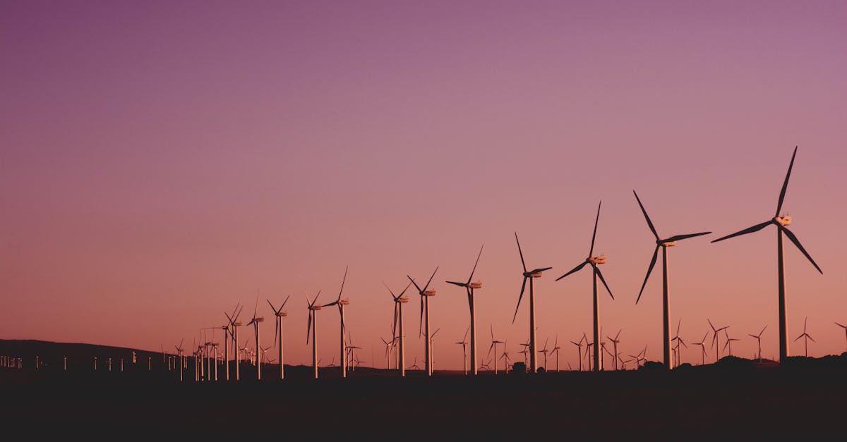 découvrez notre engagement envers la durabilité. explorez des pratiques écoresponsables, des produits respectueux de l'environnement et des solutions pour un avenir plus vert.