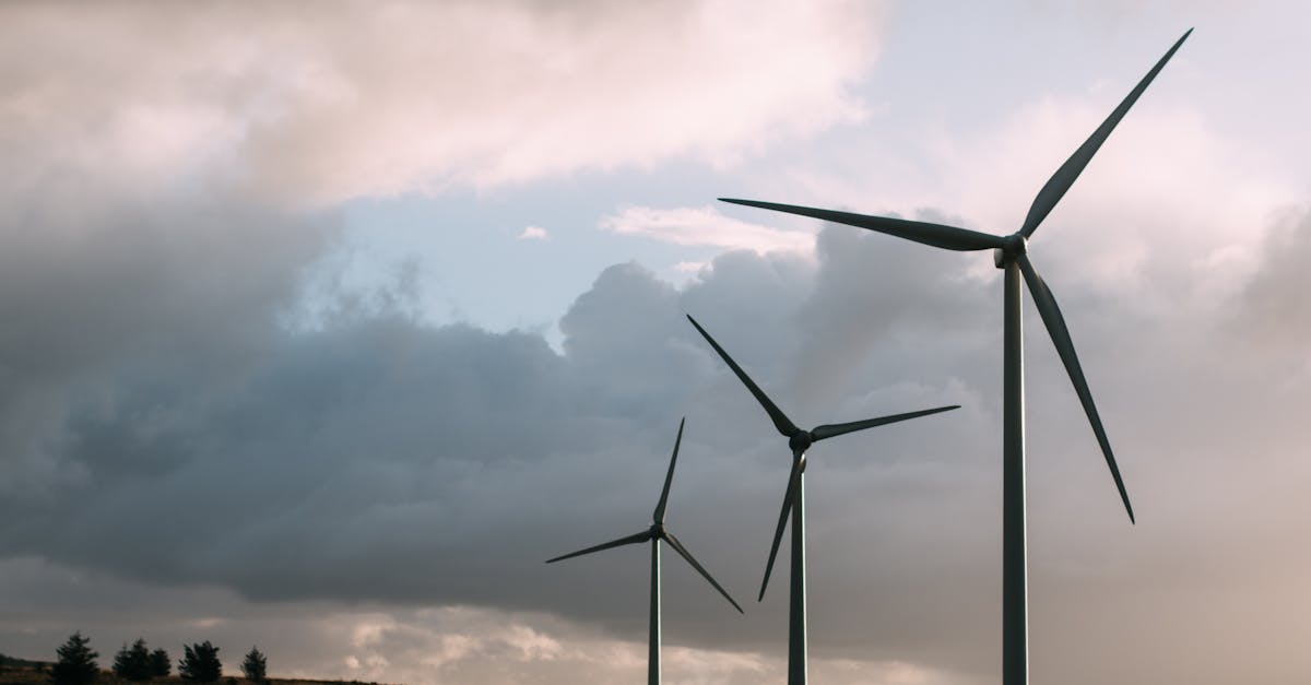 découvrez l'importance du développement durable et comment il contribue à un avenir écologique et viable. explorez des pratiques, des stratégies et des exemples concrets pour un mode de vie respectueux de l'environnement et économiquement responsable.