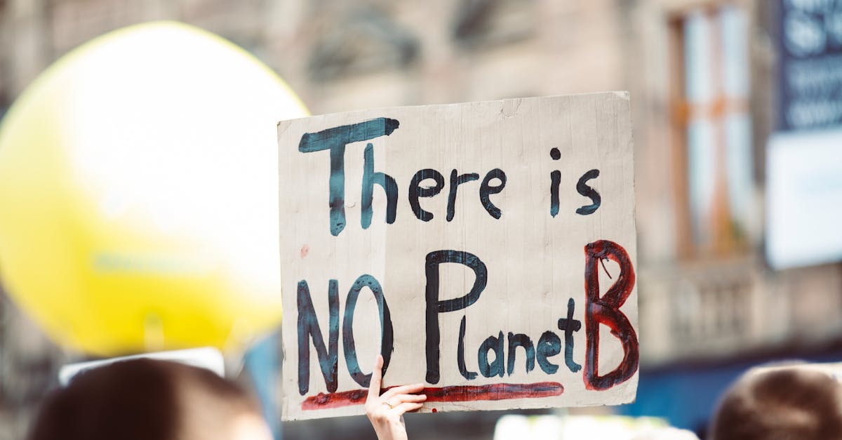 découvrez l'impact du changement climatique sur notre planète, les enjeux écologiques actuels et les actions essentielles à entreprendre pour préserver notre environnement. engagez-vous pour un avenir durable et sain.