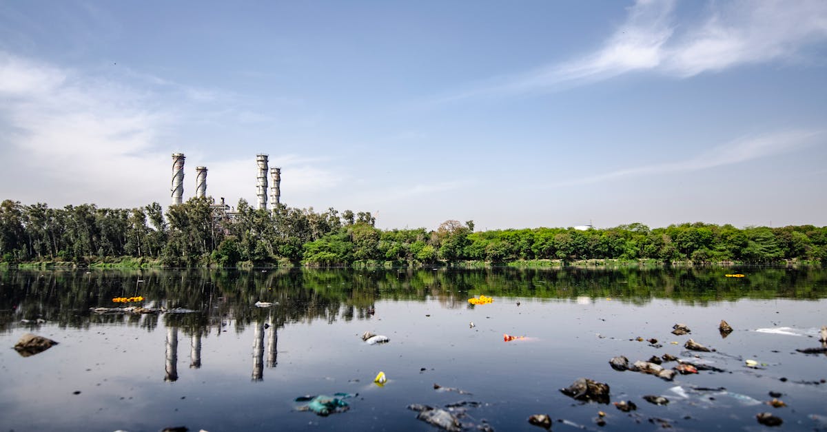découvrez les enjeux de la pollution, ses impacts sur l'environnement et la santé, ainsi que les solutions pour un avenir plus durable. informez-vous sur les différentes formes de pollution et l'importance de préserver notre planète.