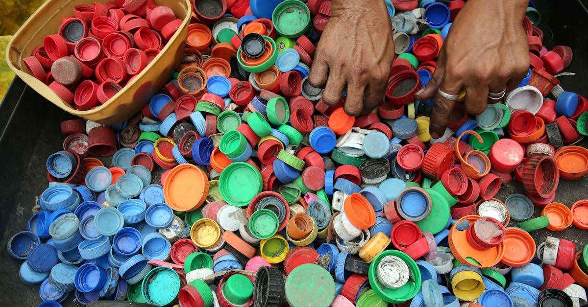 découvrez l'importance de l'environnement et les enjeux écologiques actuels. explorez des solutions durables pour protéger notre planète et comprendre comment chaque geste compte pour préserver la biodiversité et lutter contre le changement climatique.