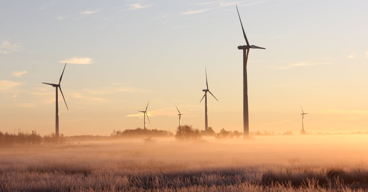 découvrez les stratégies et pratiques innovantes pour un développement durable en hiver, alliant respect de l'environnement et amélioration des conditions de vie. apprenez comment concilier croissance économique et préservation des ressources face aux défis climatiques.