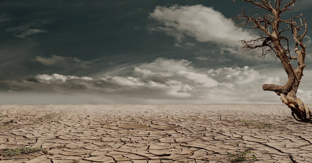 découvrez les enjeux du réchauffement climatique, ses causes, ses conséquences sur notre planète, et les actions que nous pouvons entreprendre pour préserver notre environnement pour les générations futures.