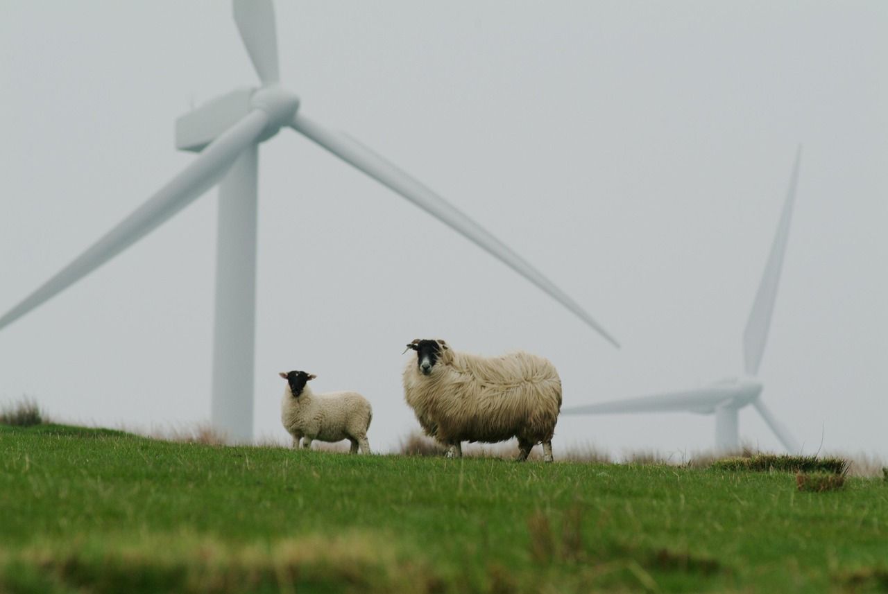 découvrez des pratiques et solutions innovantes pour promouvoir la durabilité environnementale, économique et sociale afin de préserver notre planète pour les générations futures.