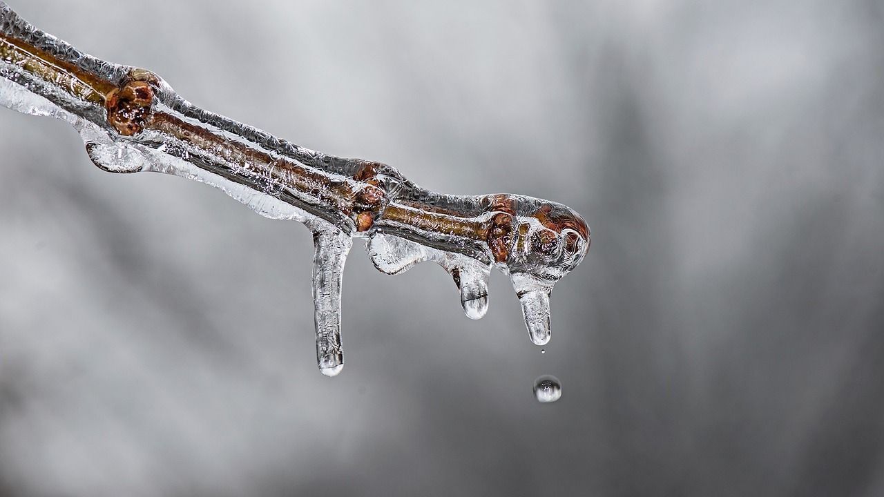 découvrez les stratégies essentielles pour l'adaptation au changement climatique. explorez les solutions innovantes et durables qui aident les communautés à s'adapter aux impacts des variations climatiques et à construire un avenir résilient.