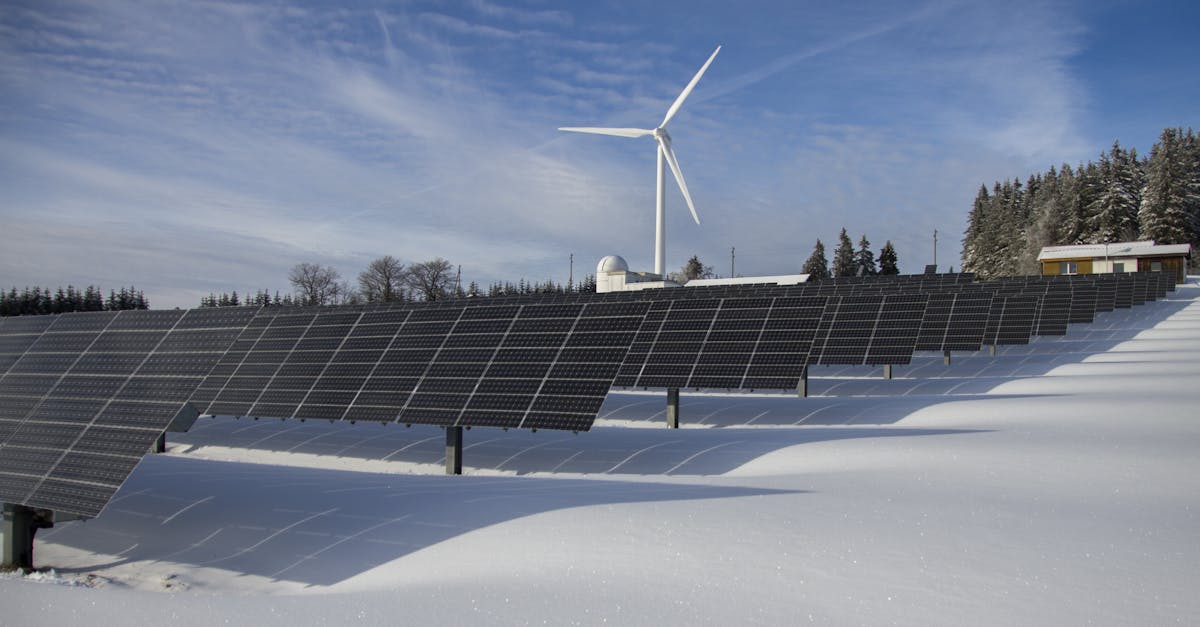 découvrez l'importance de la durabilité pour notre planète et nos sociétés, ainsi que des conseils pratiques pour adopter un mode de vie éco-responsable et contribuer à la préservation de l'environnement.