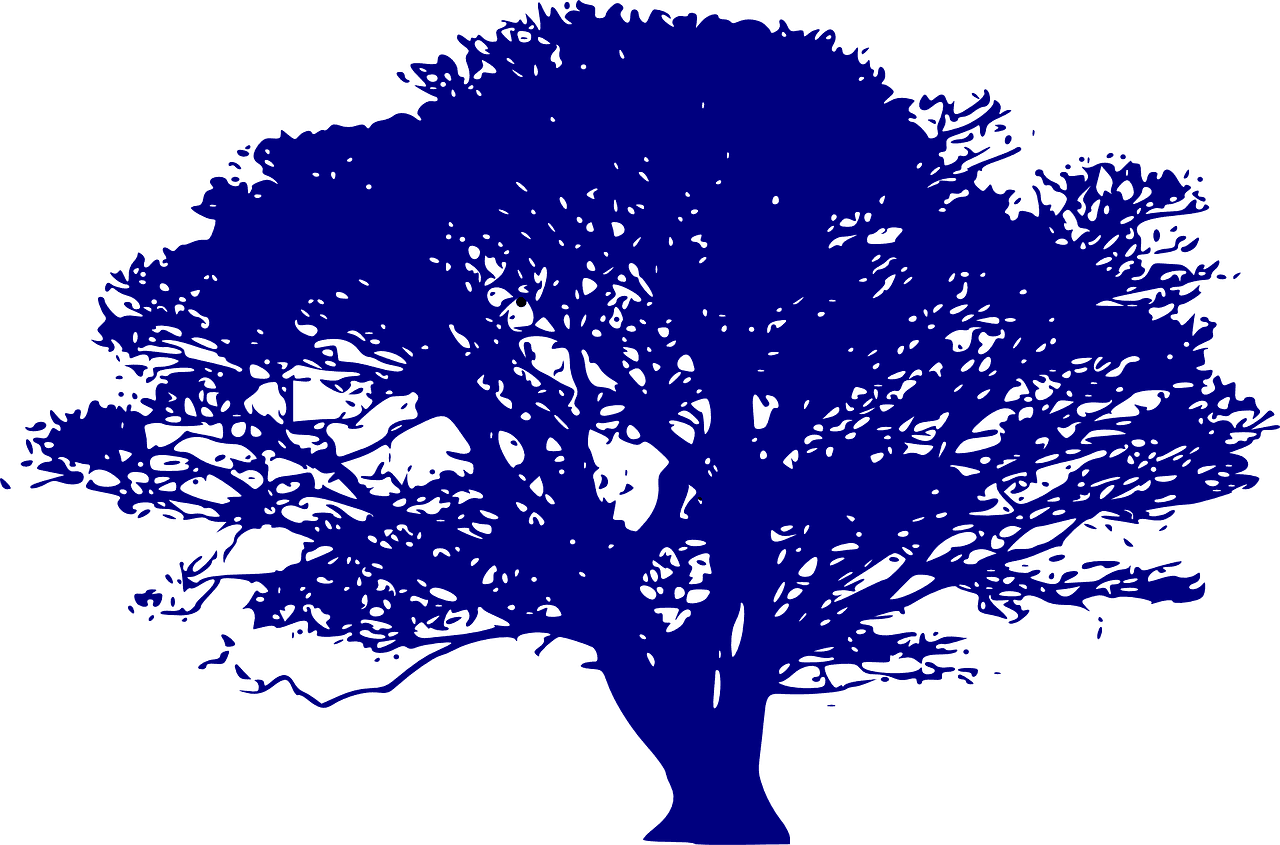 découvrez l'importance de la gestion durable des ressources pour préserver notre planète. apprenez des stratégies innovantes et efficaces pour un avenir éco-responsable.
