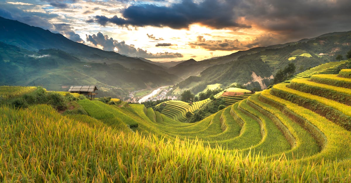 découvrez l'agriculture durable, une approche innovante qui respecte l'environnement tout en garantissant des récoltes abondantes. apprenez comment cette méthode préserve les ressources naturelles et favorise une production alimentaire responsable pour un avenir meilleur.