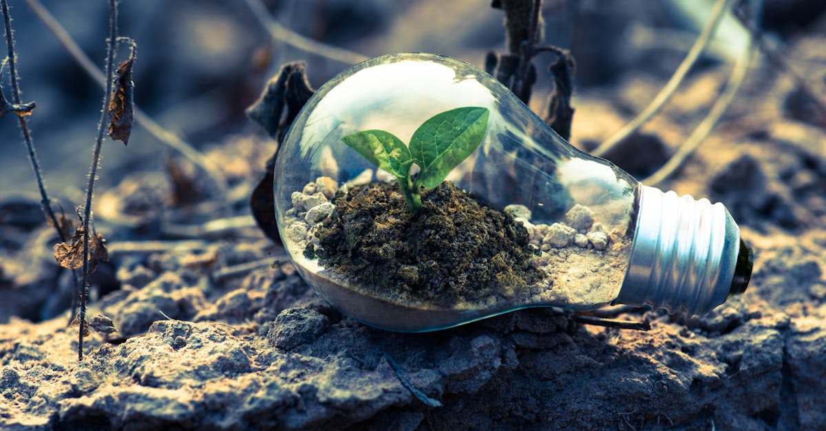 découvrez l'importance des énergies renouvelables pour un avenir durable. explorez les différentes sources d'énergie verte, leurs avantages et leur impact positif sur l'environnement et l'économie.