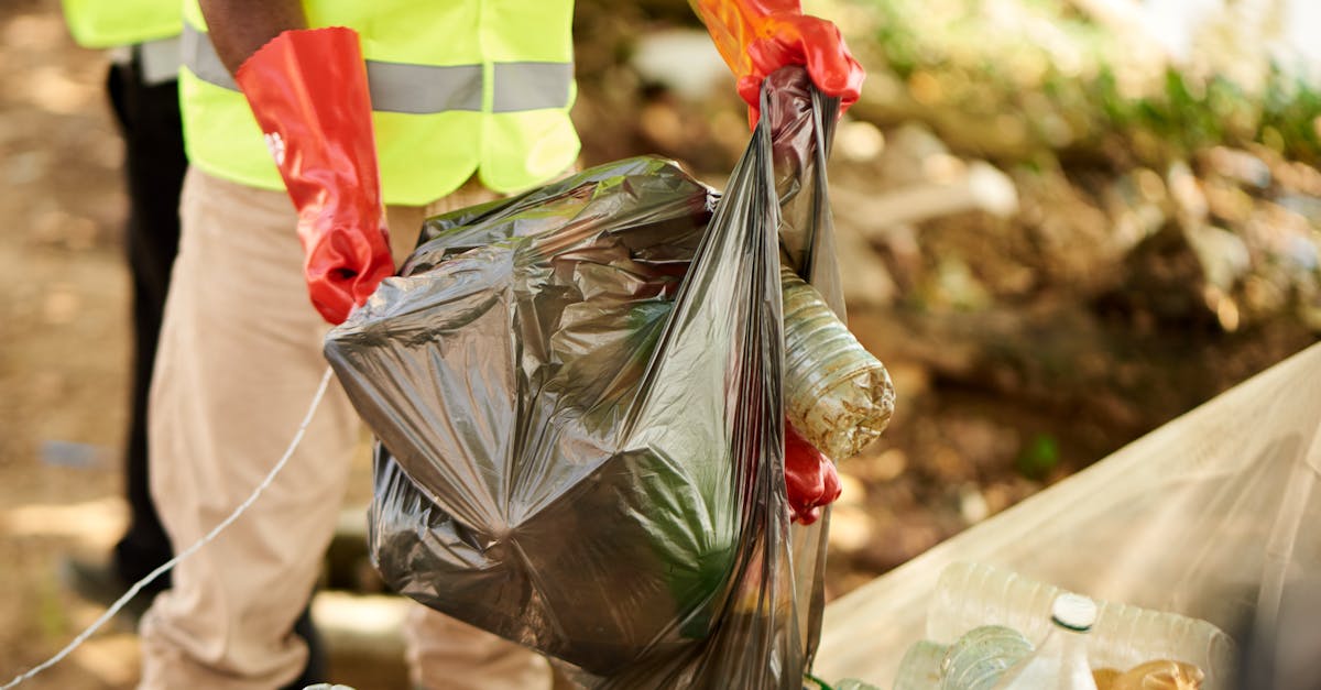 découvrez les enjeux du changement environnemental, ses causes et ses conséquences sur notre planète. adoptez des solutions pour un avenir durable et participez à la préservation de notre écosystème.