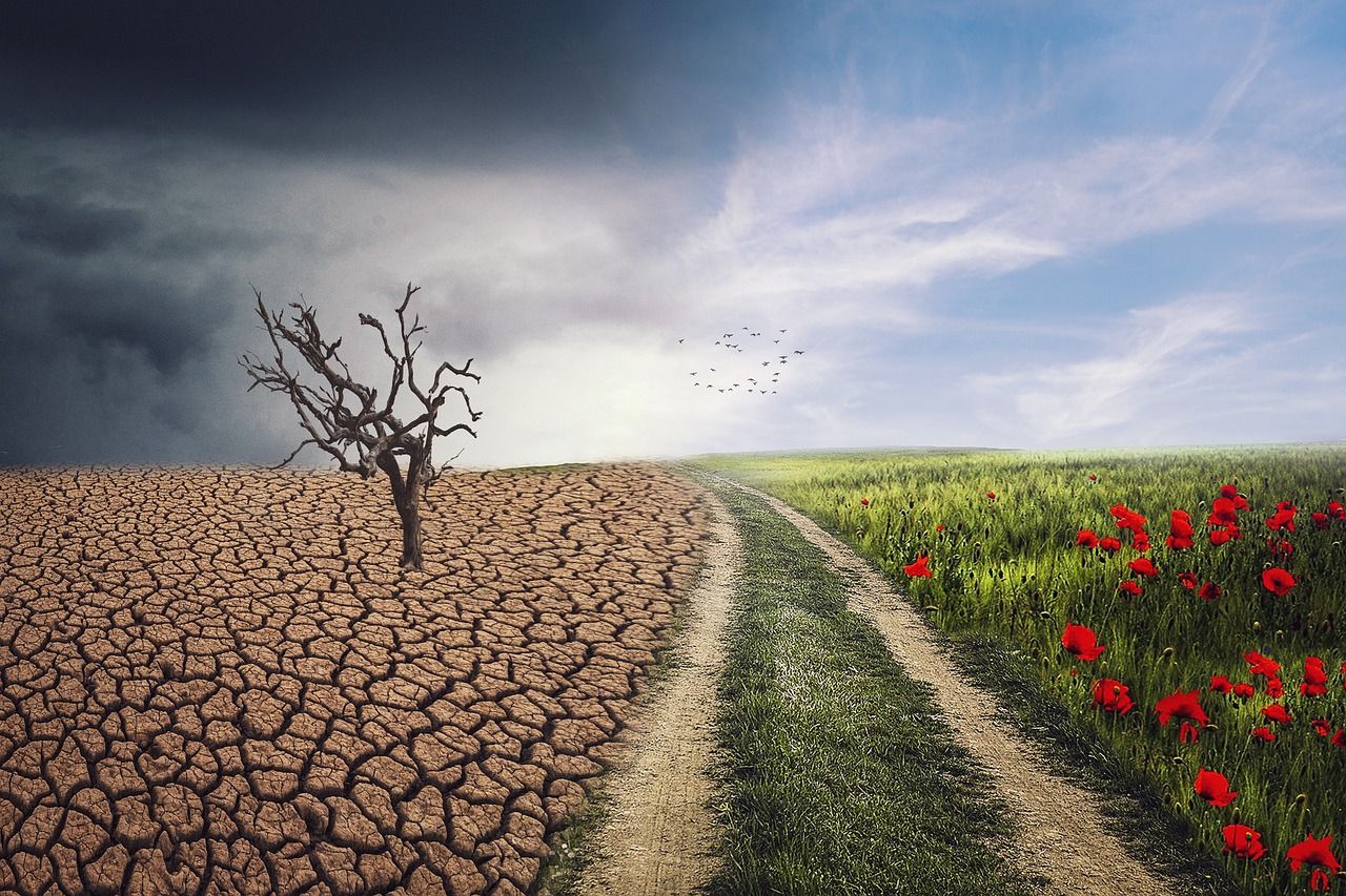 découvrez les causes, les impacts et les solutions face au changement climatique pour protéger notre planète et assurer un avenir durable.