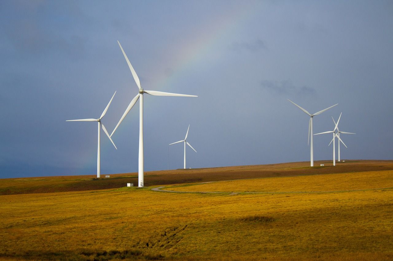 découvrez des pratiques durables pour un avenir responsable. apprenez comment intégrer des méthodes écologiques dans votre quotidien afin de réduire votre empreinte carbone et promouvoir la durabilité.