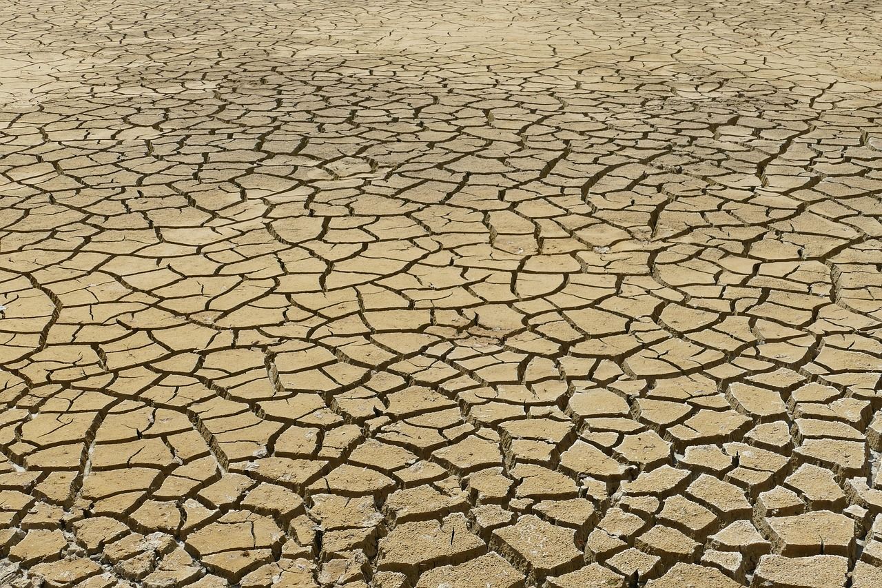 découvrez les enjeux et les impacts du changement climatique sur notre planète. analysez les causes, les effets et les solutions pour un avenir durable face à cette crise mondiale. engagez-vous pour préserver notre environnement.