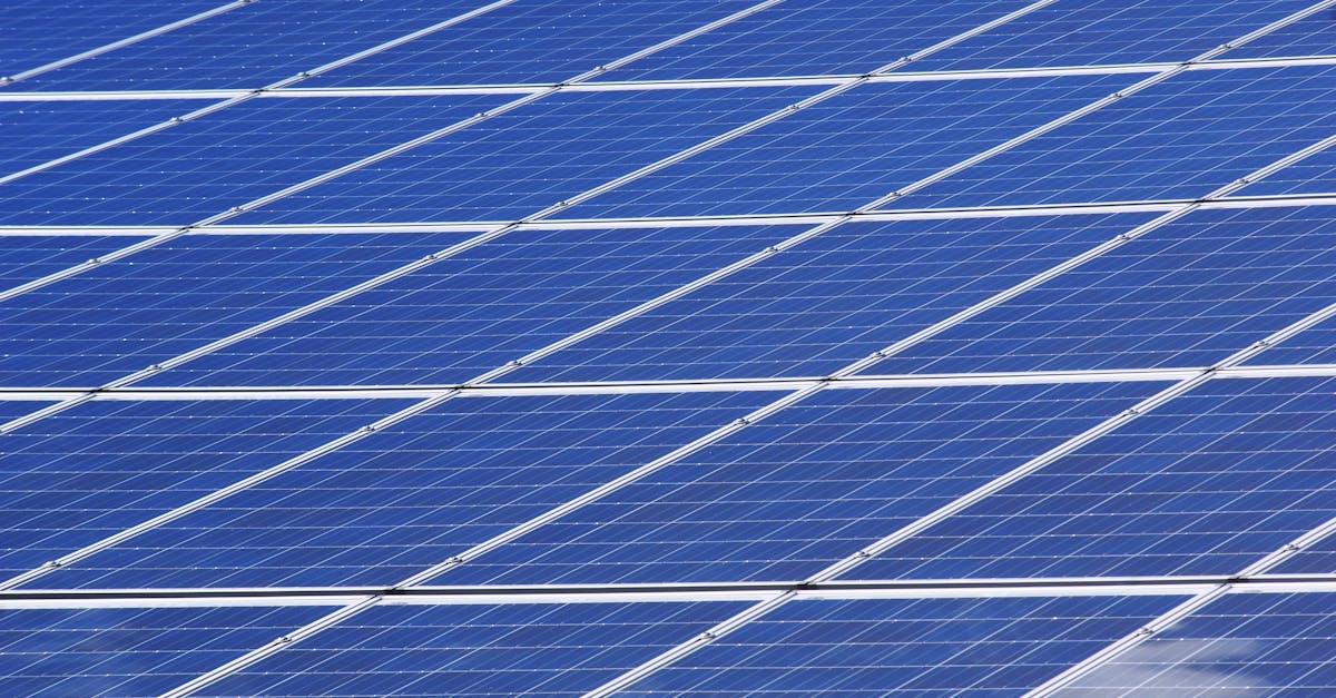 découvrez l'importance de la durabilité dans notre monde moderne, explorez des pratiques écoresponsables et apprenez comment contribuer à un avenir plus vert et durable.