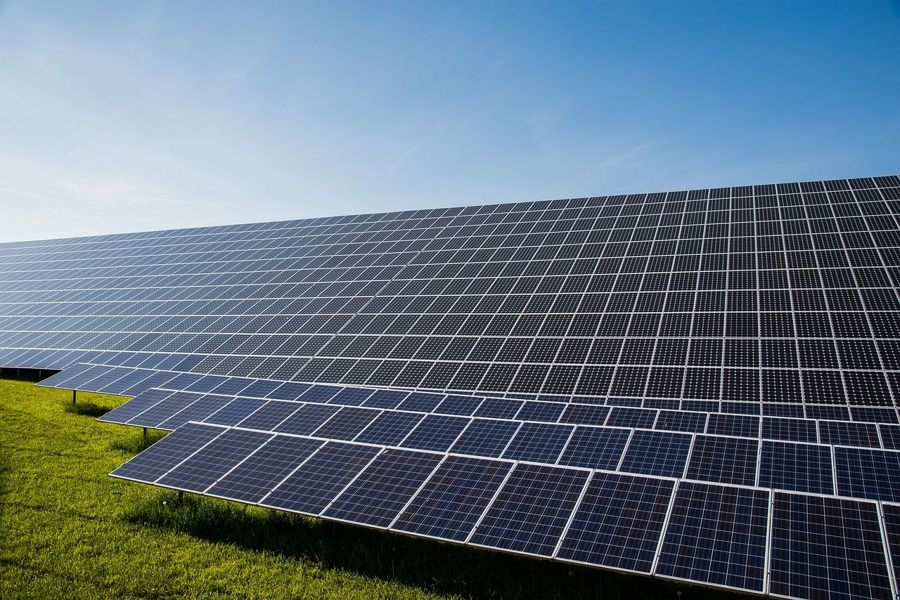 découvrez les enjeux et solutions liés à la transition écologique pour un avenir durable et respectueux de l'environnement.