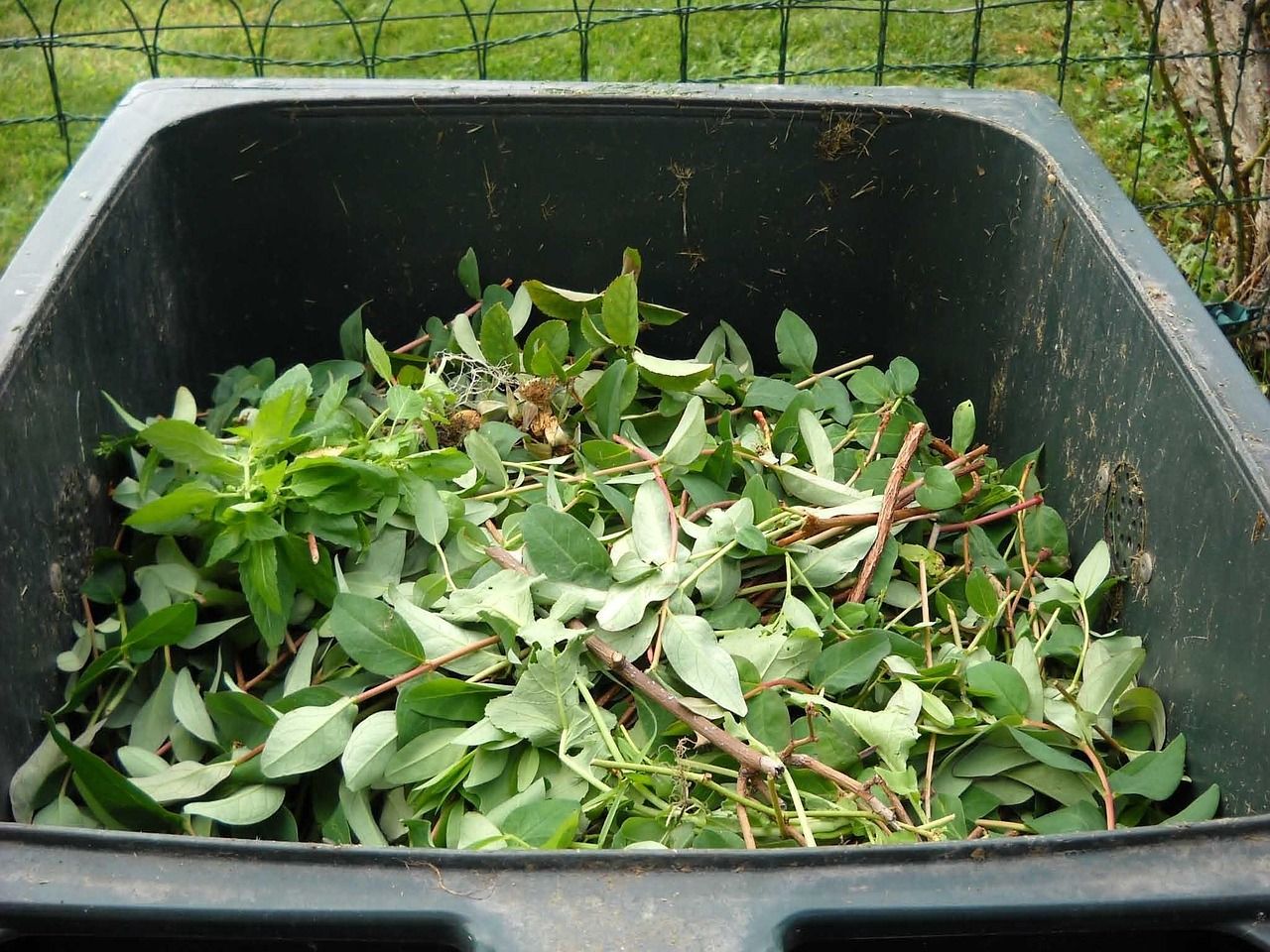 découvrez tout sur le piège à recyclage : son fonctionnement, ses avantages et comment il contribue à une meilleure gestion des déchets.