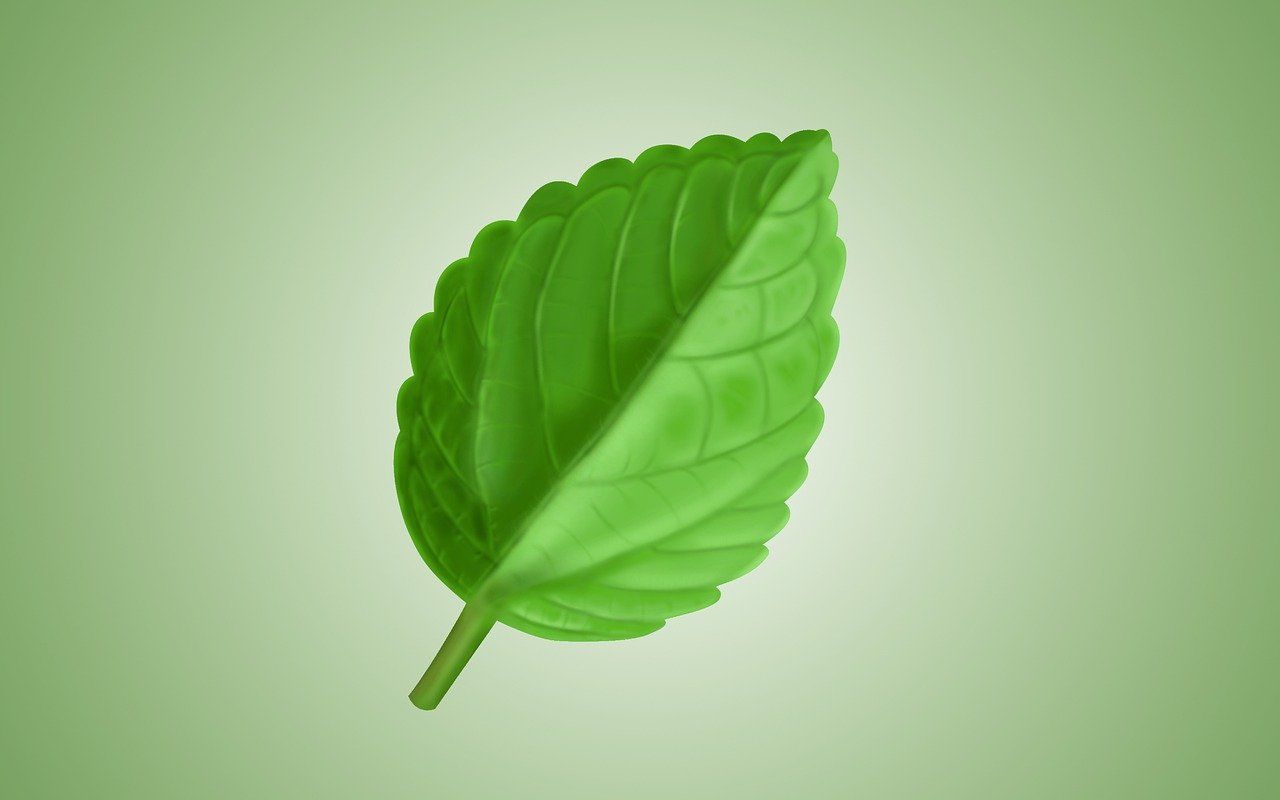 découvrez nos produits de nettoyage écologiques, efficaces et respectueux de l'environnement, pour une maison propre et saine tout en protégeant la planète.