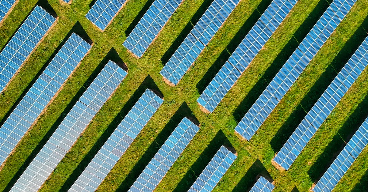 découvrez les enjeux du développement durable, une approche qui vise à concilier croissance économique, inclusion sociale et protection de l'environnement. explorez des solutions innovantes pour bâtir un avenir responsable et respectueux des ressources de notre planète.