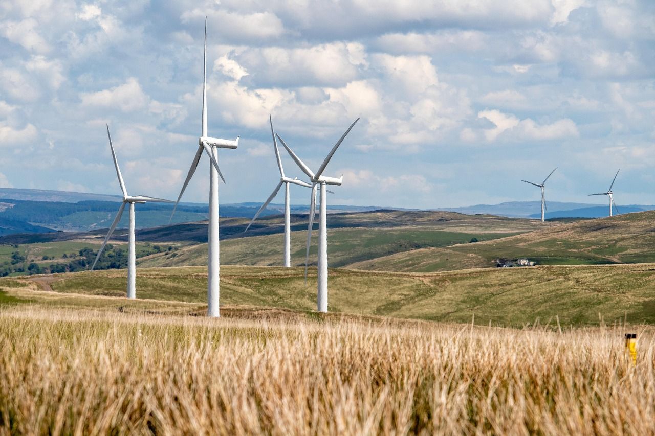 découvrez comment adopter un mode de vie plus durable avec des conseils, astuces et informations sur la durabilité pour protéger l'environnement et améliorer votre quotidien.