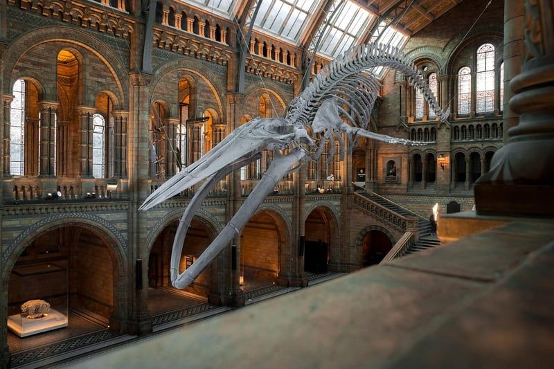 Quelle stratégie intégrée pour un musée éco-responsable et engagé envers la société ?