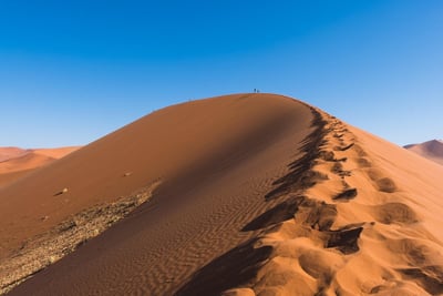 Tunisie : Un ambitieux plan climatique de 55 milliards de dollars pour bâtir la résilience environnementale à l’horizon 2035