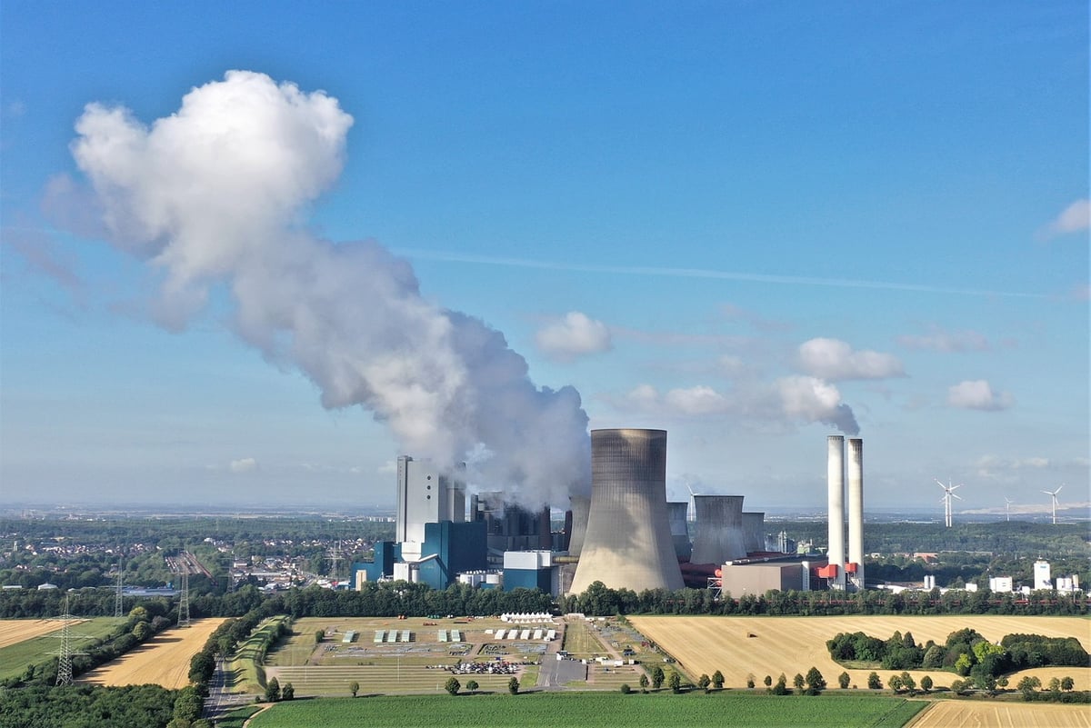 L’impact réel des initiatives de compensation carbone des célébrités face au changement climatique : une analyse approfondie