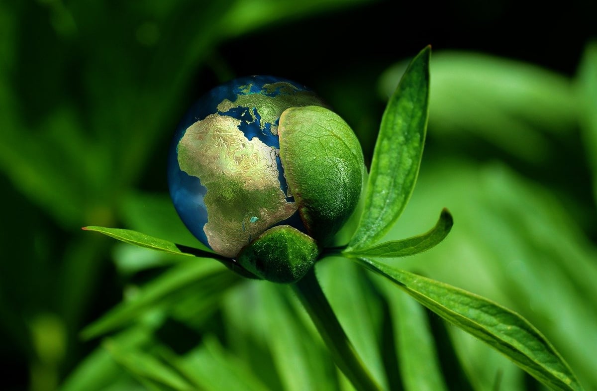L’implication envers la protection de l’environnement et la promotion du développement durable