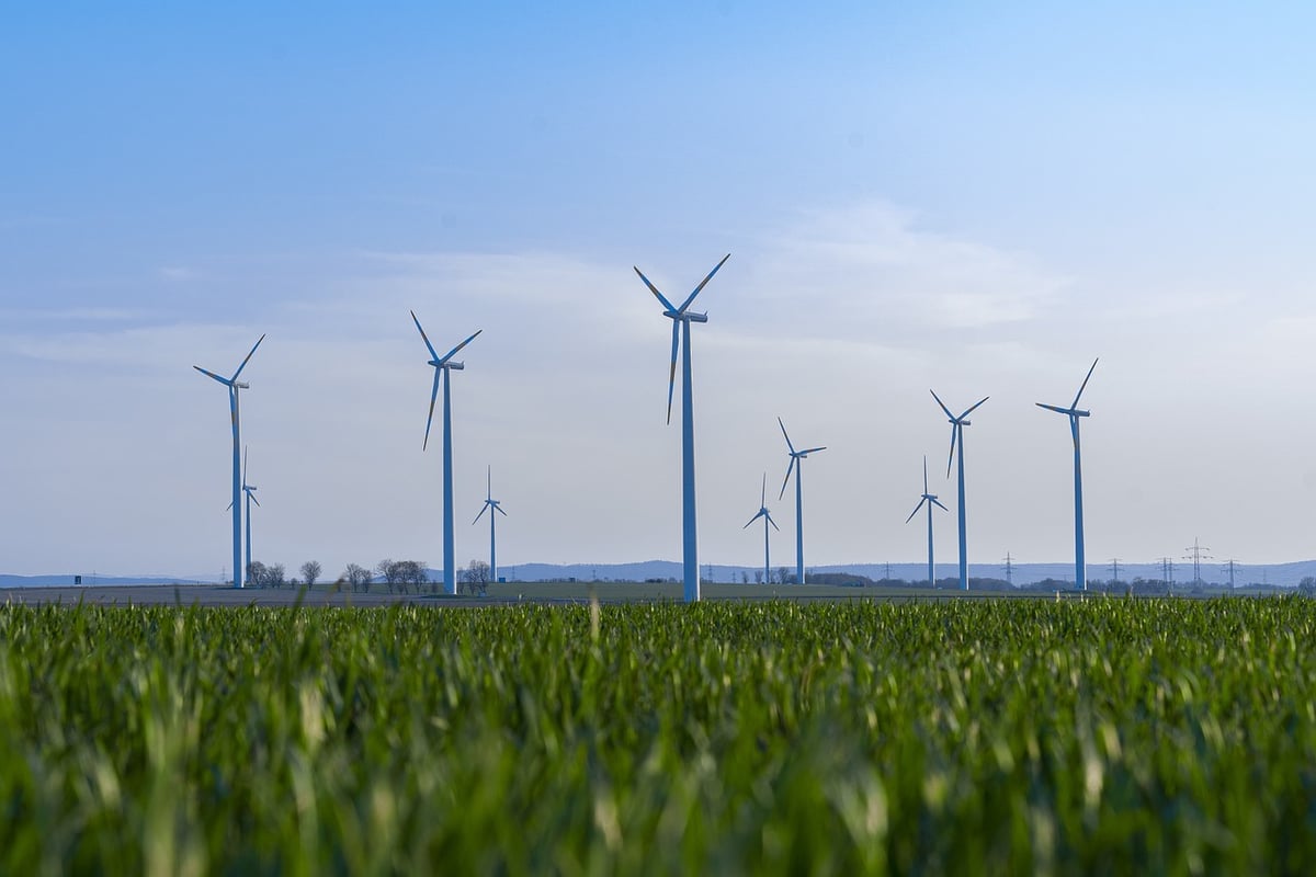 Protection de notre planète : enjeux et solutions pour un avenir durable